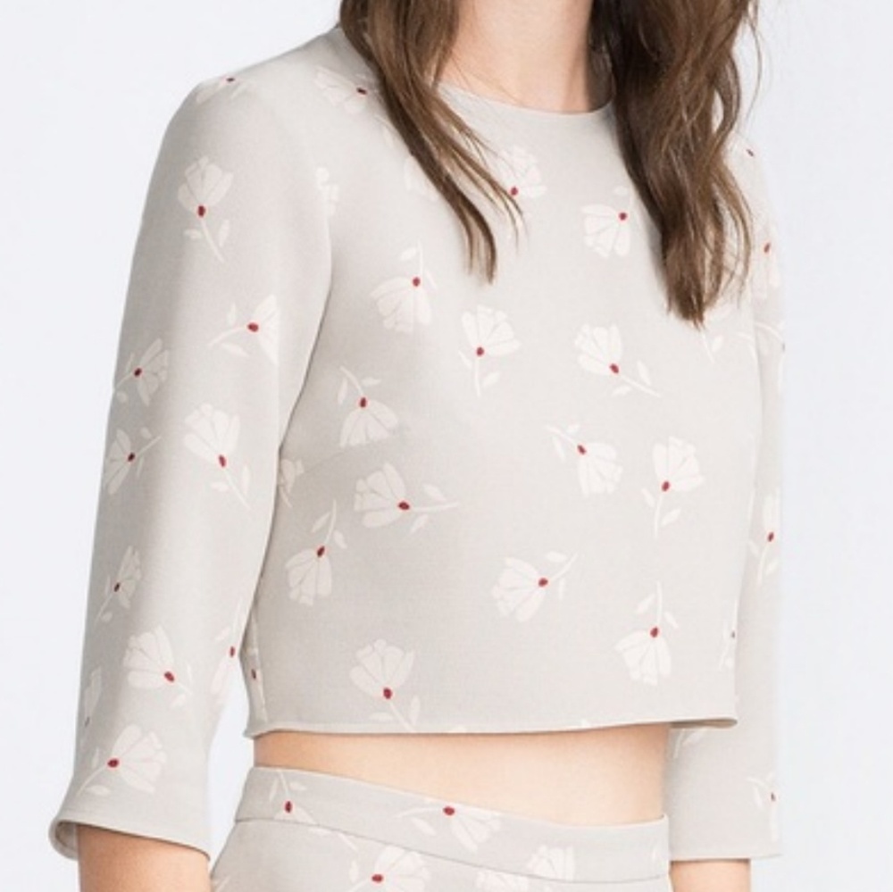 Zara Basic grey floral 3/4 sleeve crop top TB2